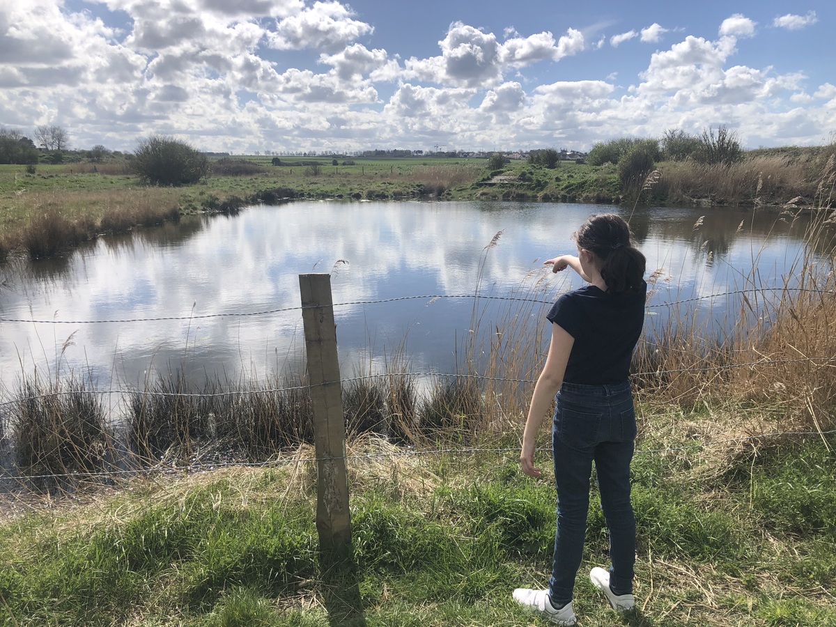 Visite du Littoral Berniérais