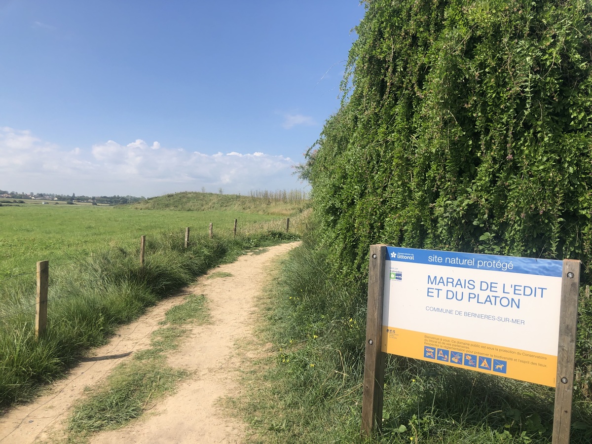 le Marais du platon, Bernières-sur-Mer - photo 6