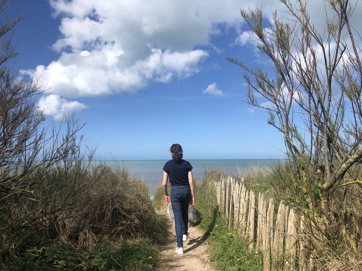 le Marais du platon