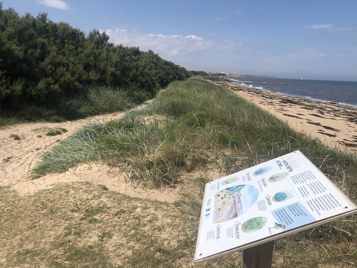 le Marais du platon, Bernières-sur-Mer - photo 14