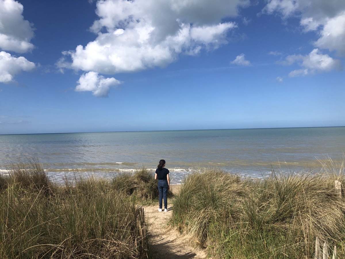 le Marais du platon, Bernières-sur-Mer - photo 7