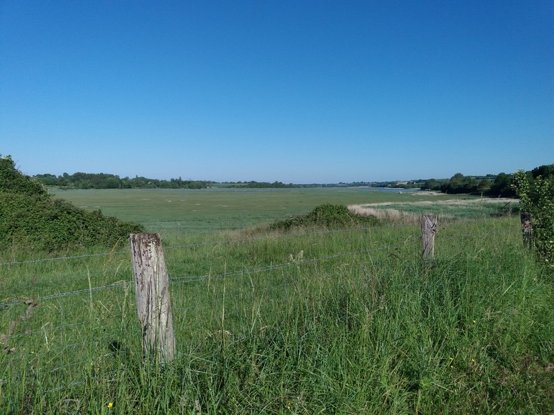 Les marais d'Heugueville-sur-Sienne