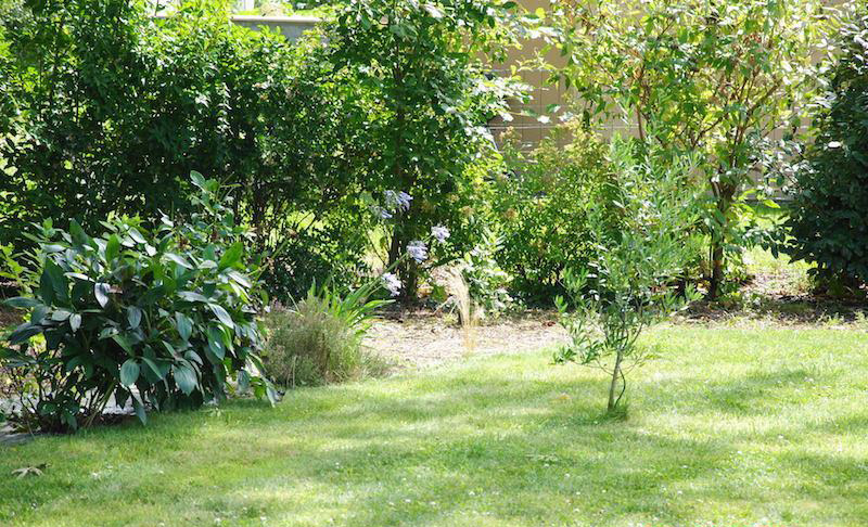 Meublé de tourisme, Marcey-les-Grèves - photo 8