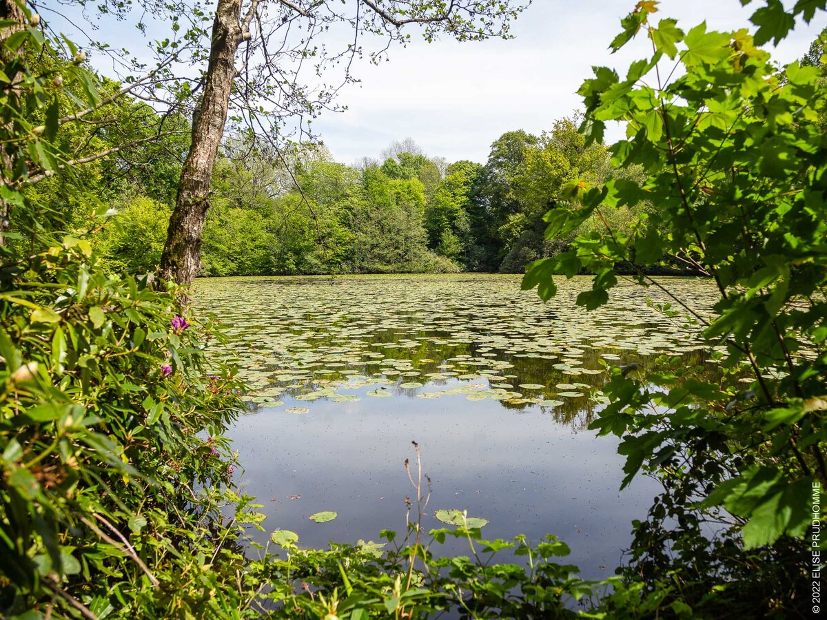 Château de Martinvast - L'Épopée des Sens, Martinvast - photo 2