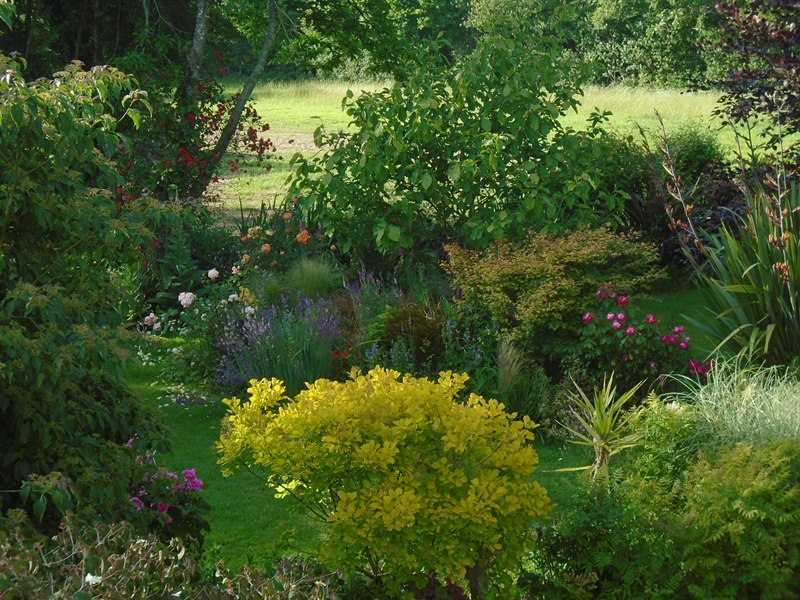Jardin La Ferme des Roches, Martinvast - photo 12