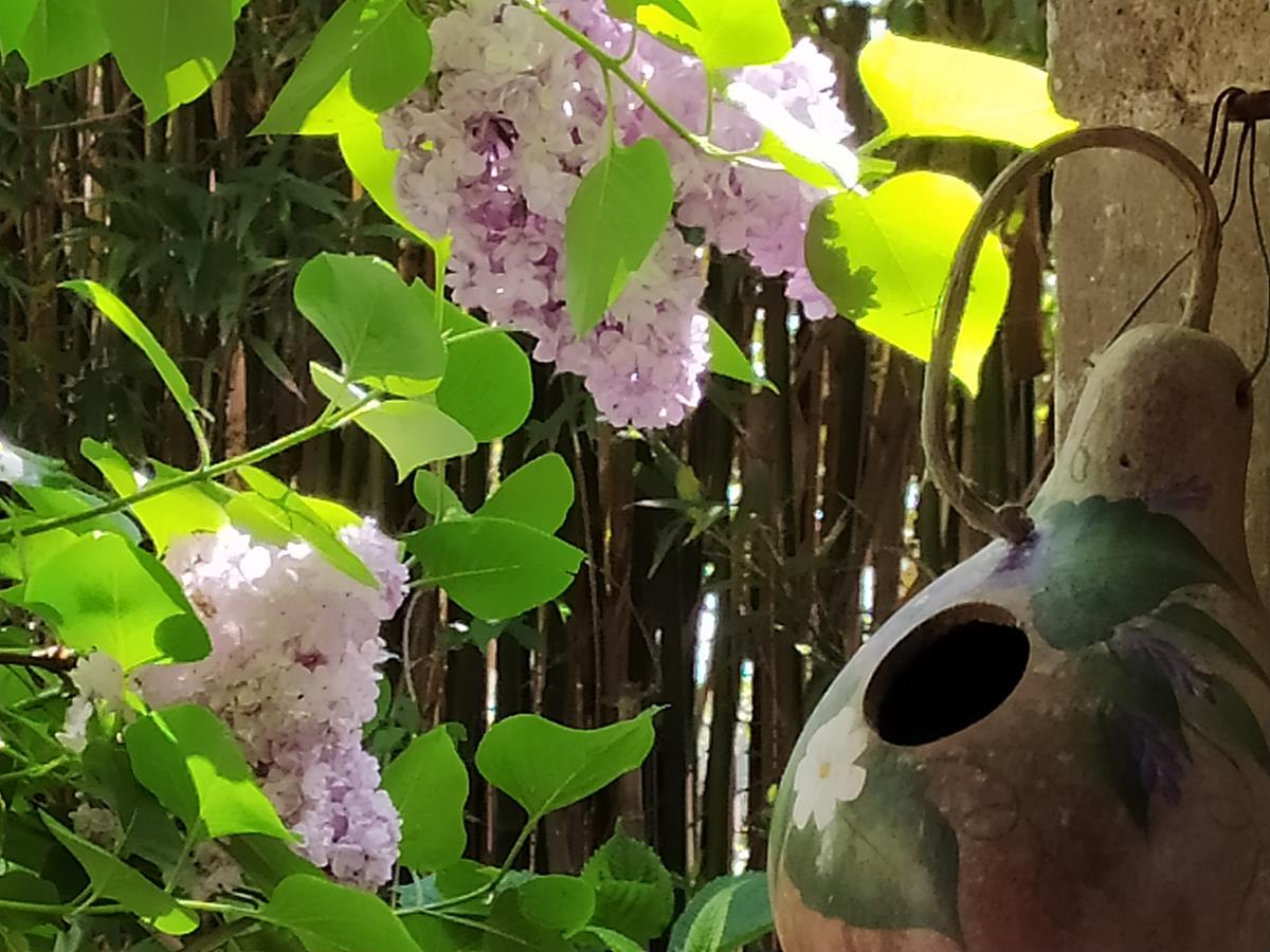 Meublé de tourisme > La Bourgetterie, Fontenay-sur-Mer - photo 2