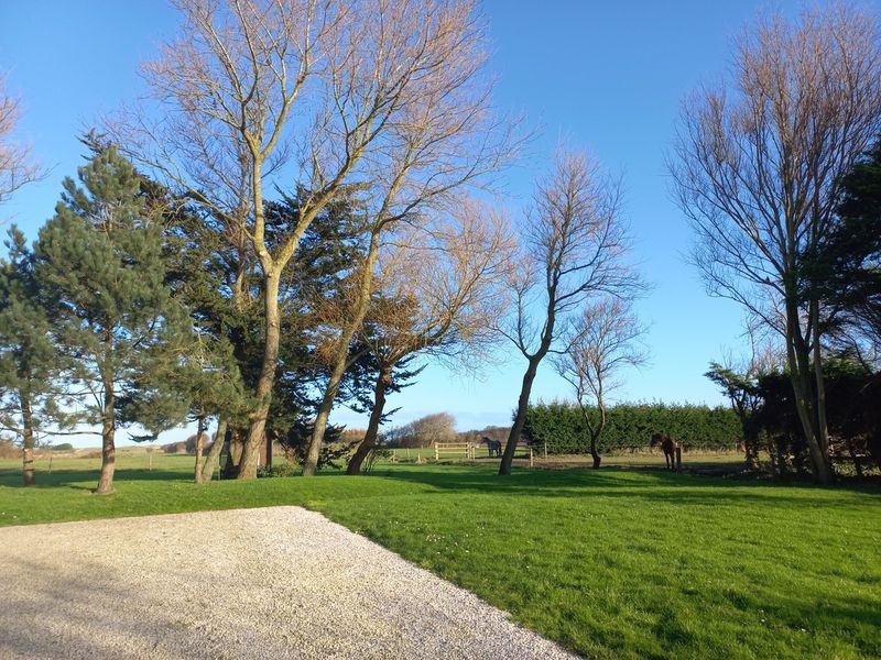 Meublé de tourisme > Ivy House - Barton, Sainte-Marie-du-Mont - photo 9