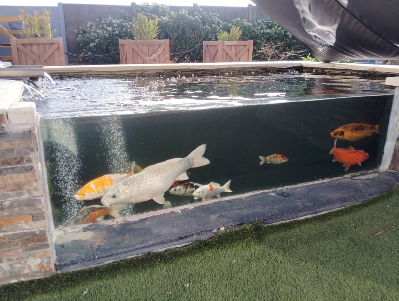 Meublé de tourisme > Le Petit Koi, Bréhal
