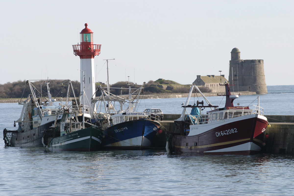 Meublé de tourisme > Le Morne, Saint-Vaast-la-Hougue - photo 4