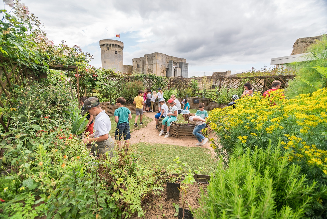 Château Guillaume-le-Conquérant, Falaise - photo 22