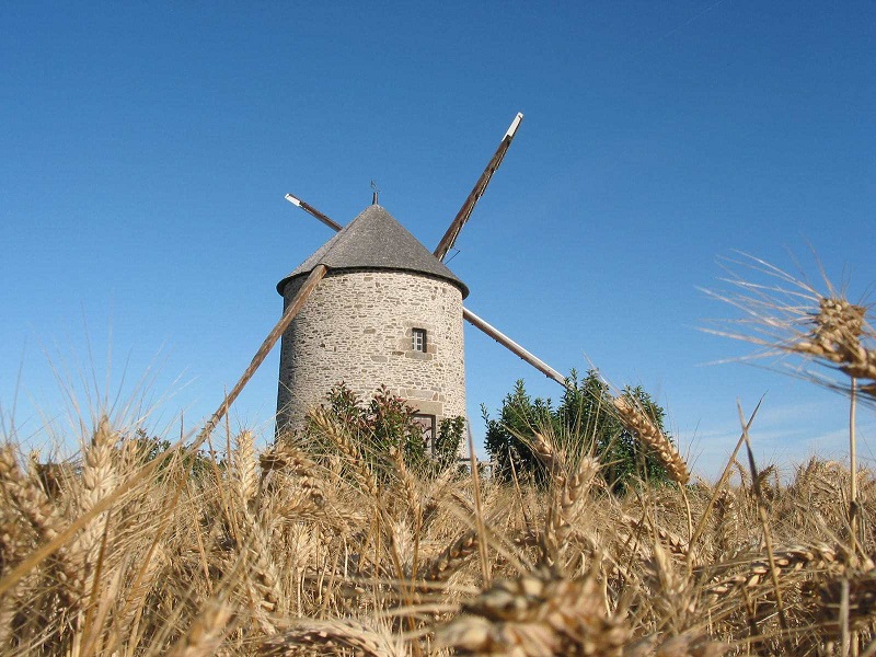 Moulin de Moidrey, Pontorson - photo 2