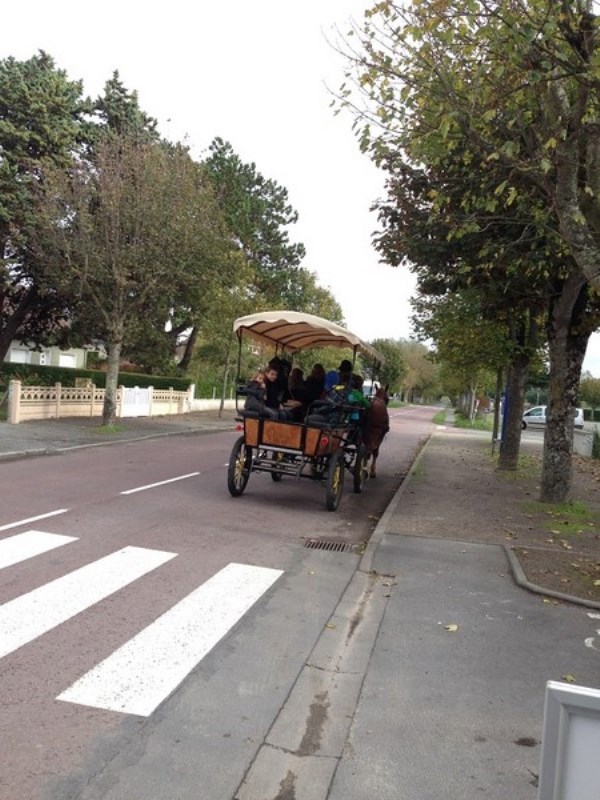 Calèches de la Bredaine, Montmartin-sur-Mer - photo 9