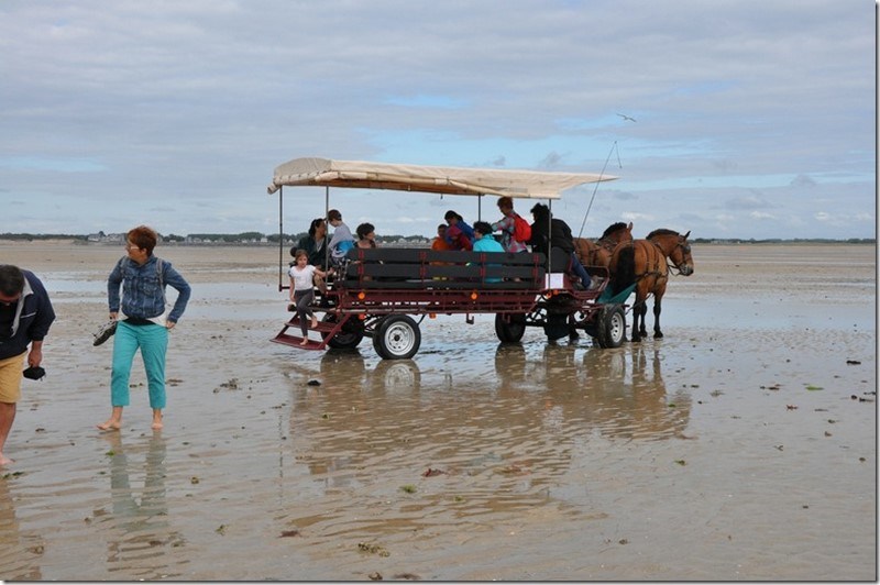 Calèches de la Bredaine, Montmartin-sur-Mer - photo 2