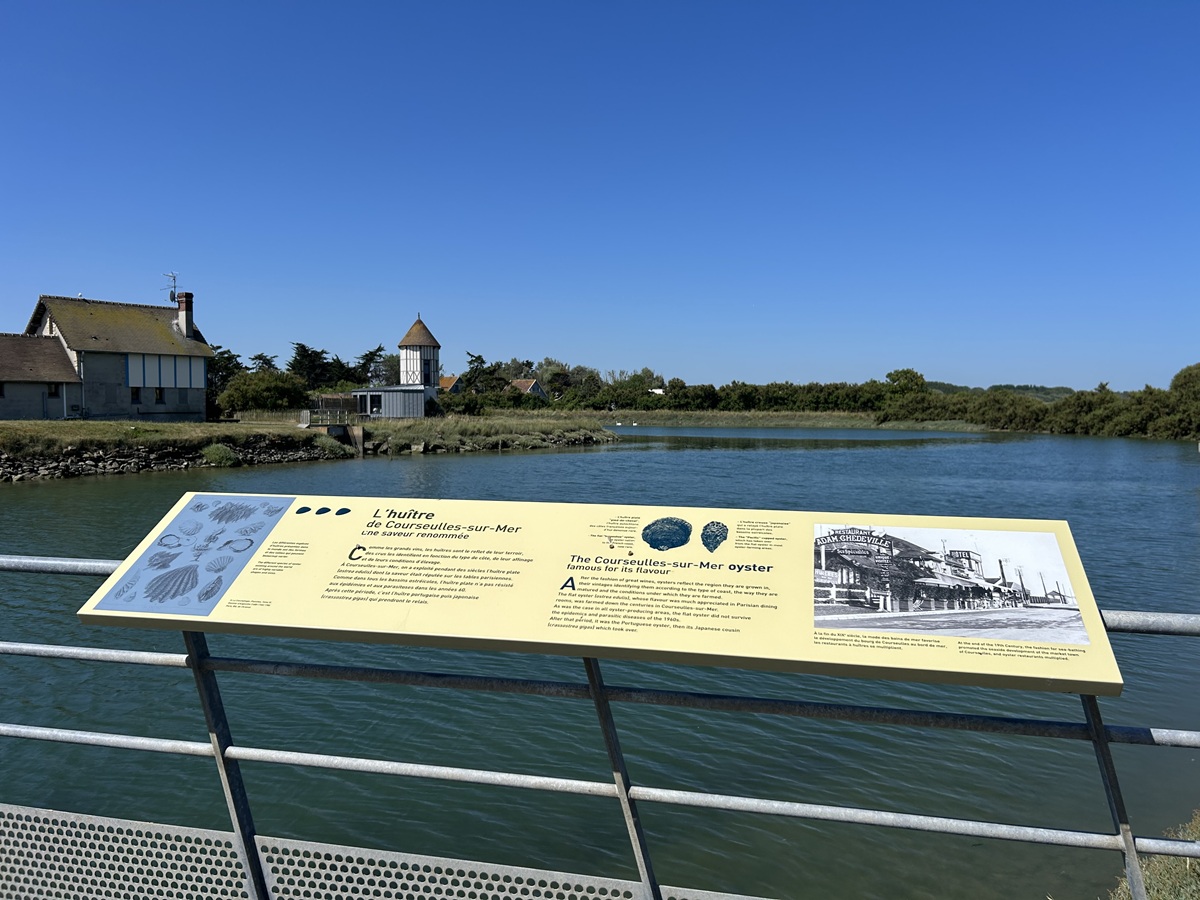 Aire de camping-car Avenue de la Combattante, Courseulles-sur-Mer - photo 11