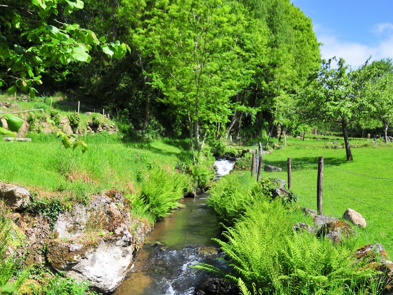 Le moulin de Roullours, Vire Normandie - photo 3