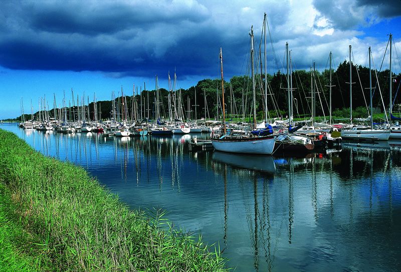 Les chemins du Mont-Saint-Michel - Chemin de Barfleur - Carentan - Périers — photo 3