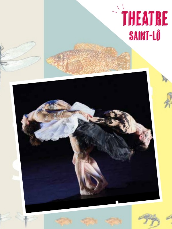 Théâtre > Le Lac des Cygnes