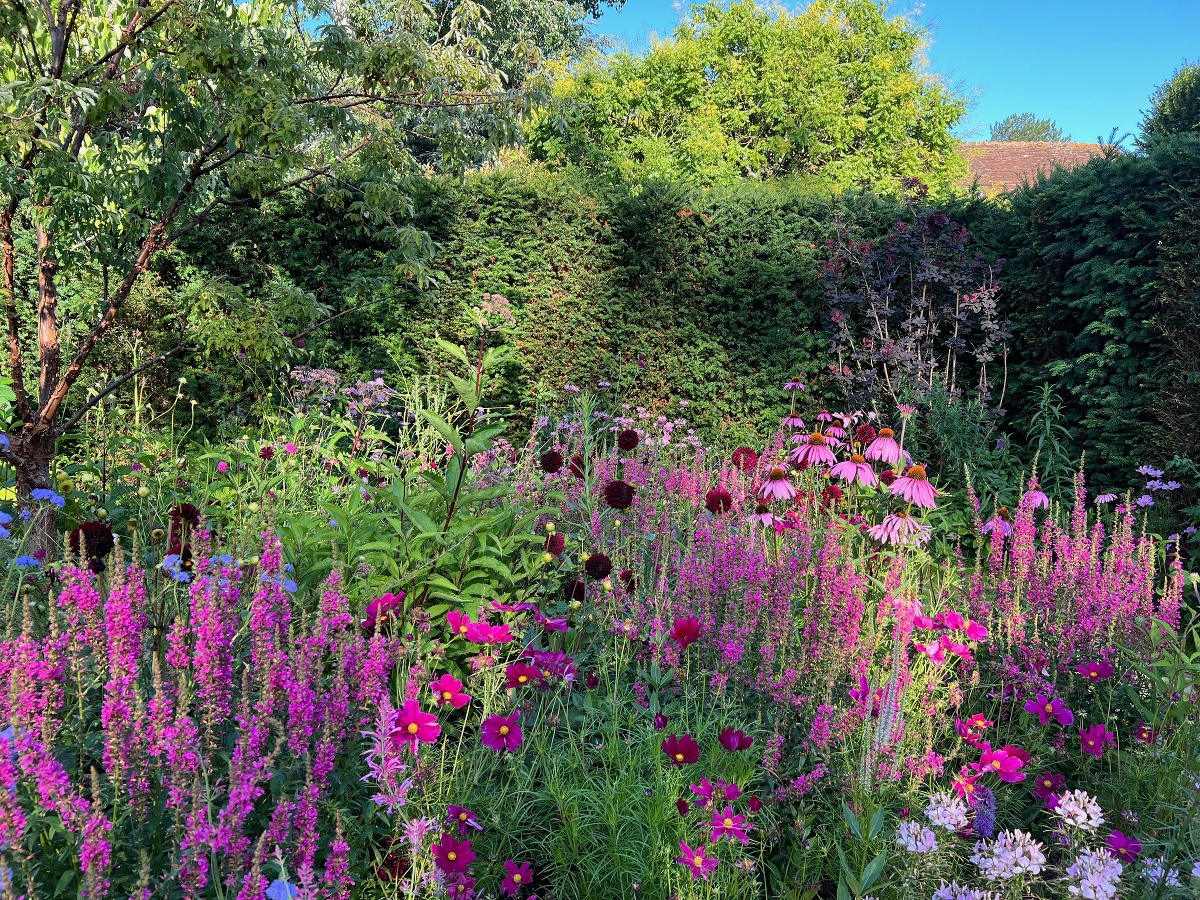 Château et Jardins de Boutemont, Ouilly-le-Vicomte - photo 7