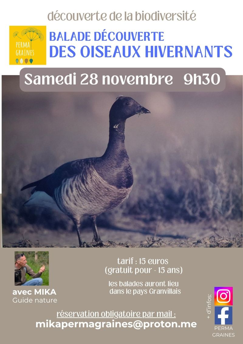 Balade découverte des oiseaux migrateurs du havre de la Vanlée