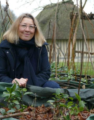 Gaëlle Rousseau y a planté 700 théiers à l’écodomaine du Bouquetot, en Normandie