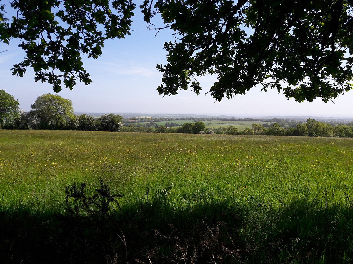 Le Mont Pinçon, Les Monts d'Aunay - photo 5