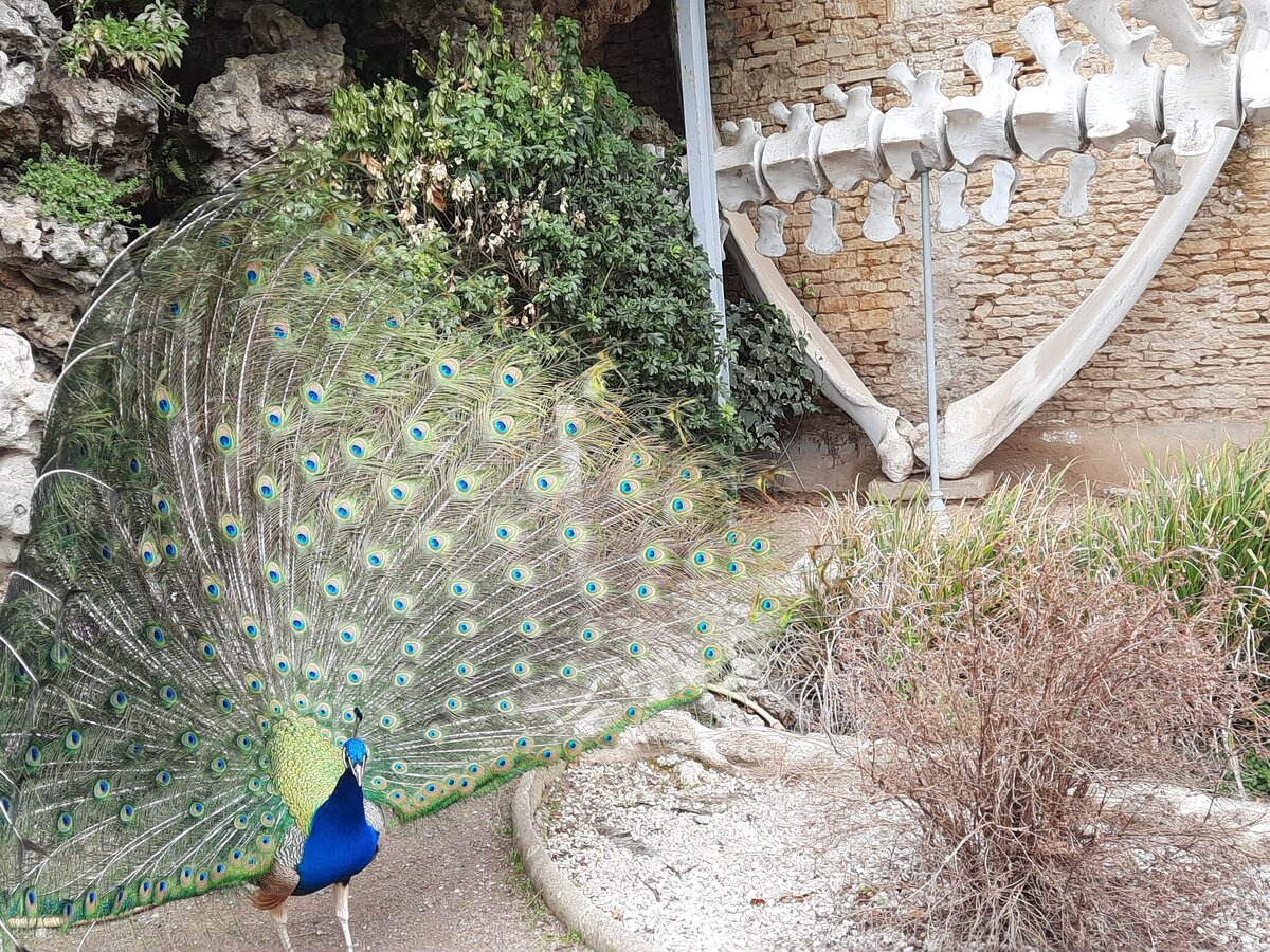 Aire de jeux - Parc de la Baleine