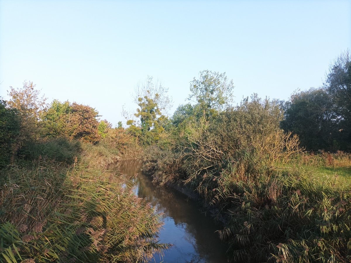 Aire de jeux - Parc du chant des oiseaux - photo 2