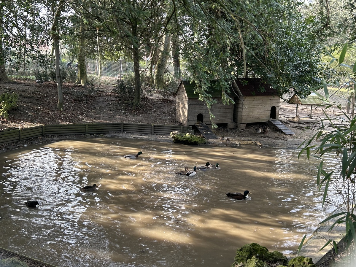 Parc de la Baleine, Luc-sur-Mer - photo 11