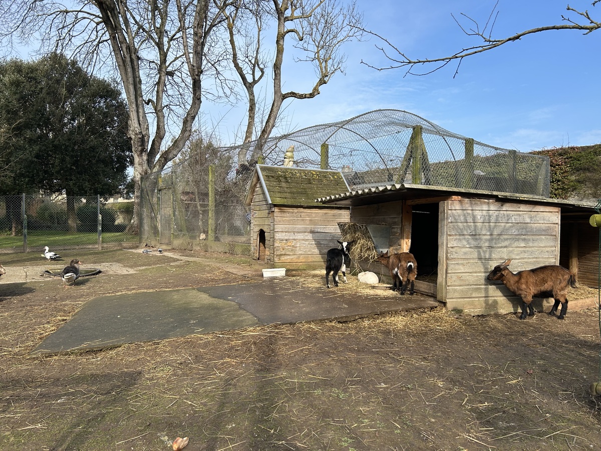 Parc de la Baleine, Luc-sur-Mer - photo 8