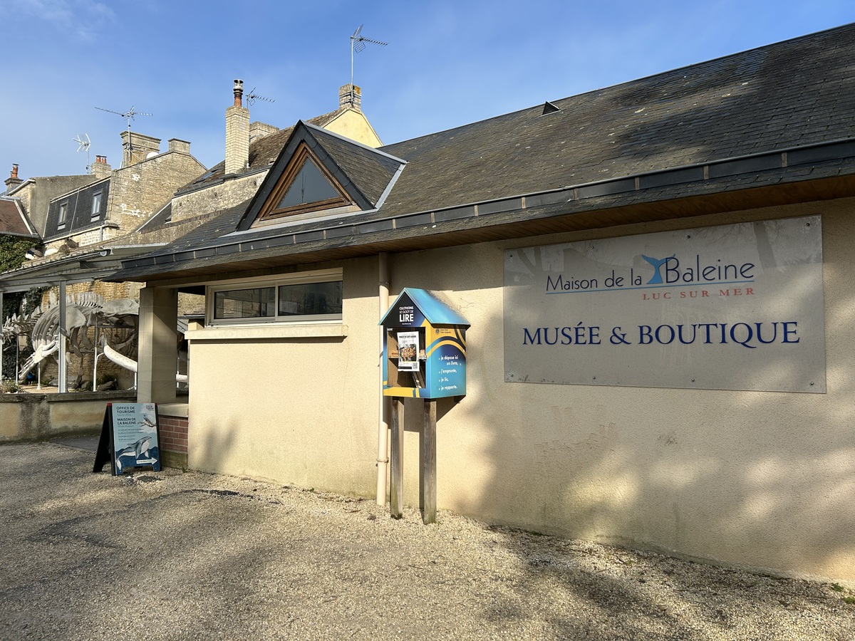 Parc de la Baleine, Luc-sur-Mer - photo 17