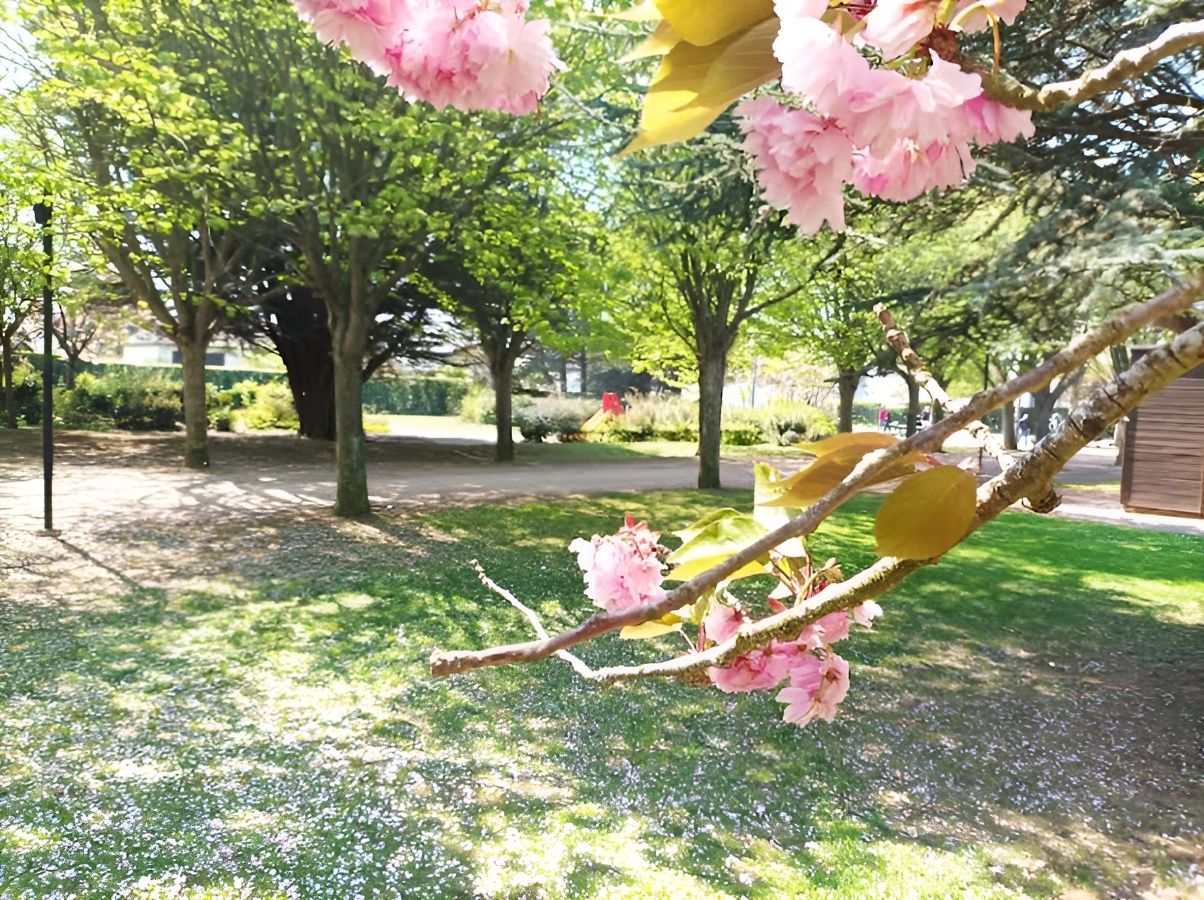 Aire de jeux - Parc Verdun - photo 5