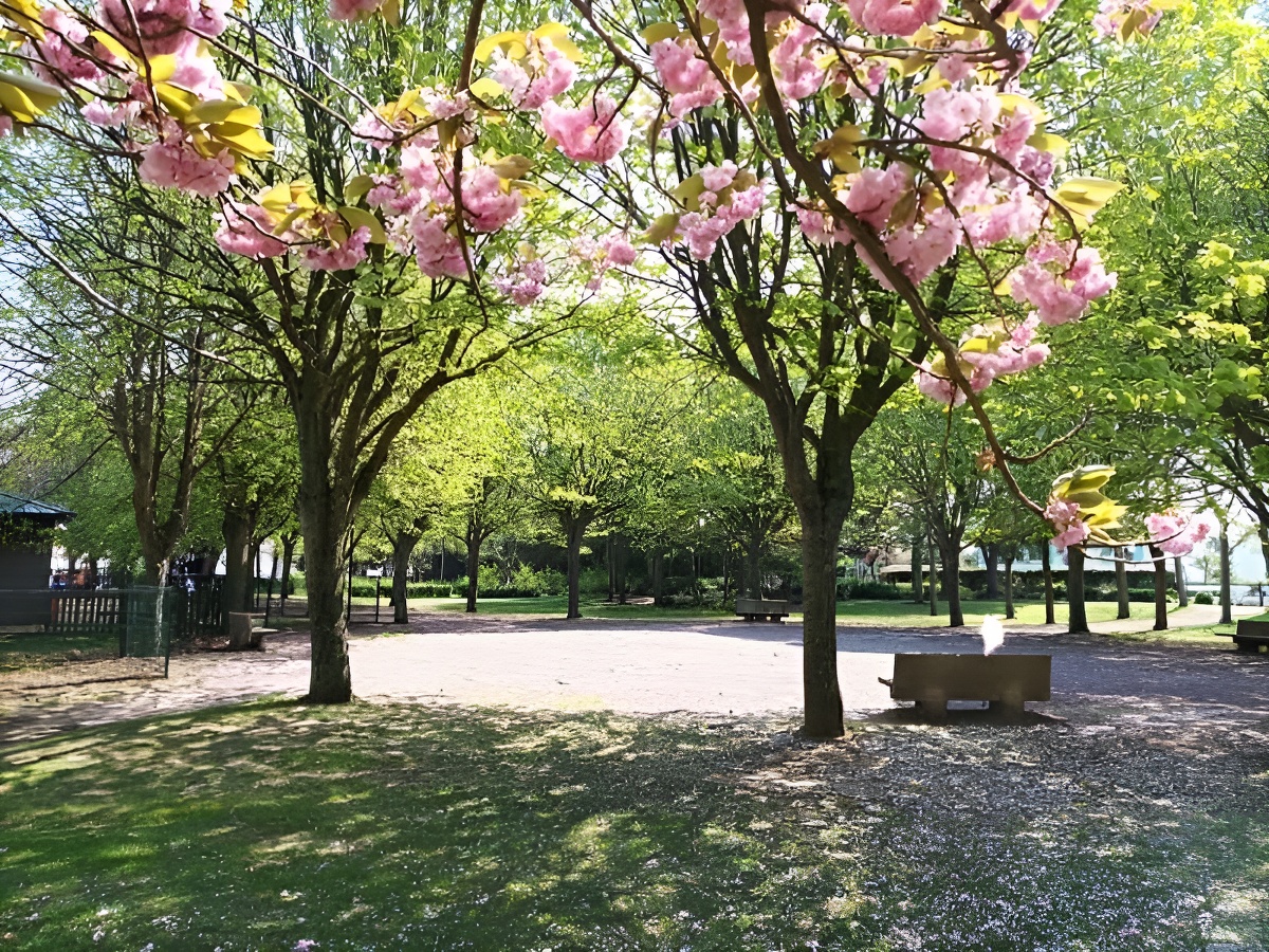 Aire de jeux - Parc Verdun - photo 4