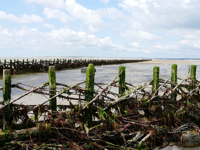 Pêcherie La Maillard, Hauteville-sur-Mer - photo 7