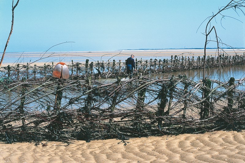 Pêcherie La Maillard