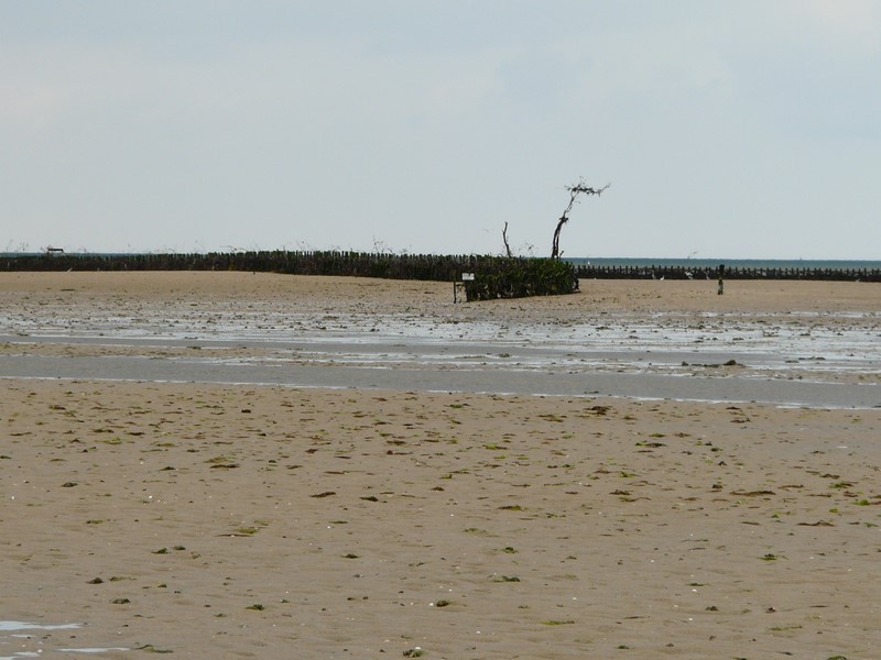 Pêcherie La Maillard, Hauteville-sur-Mer - photo 4