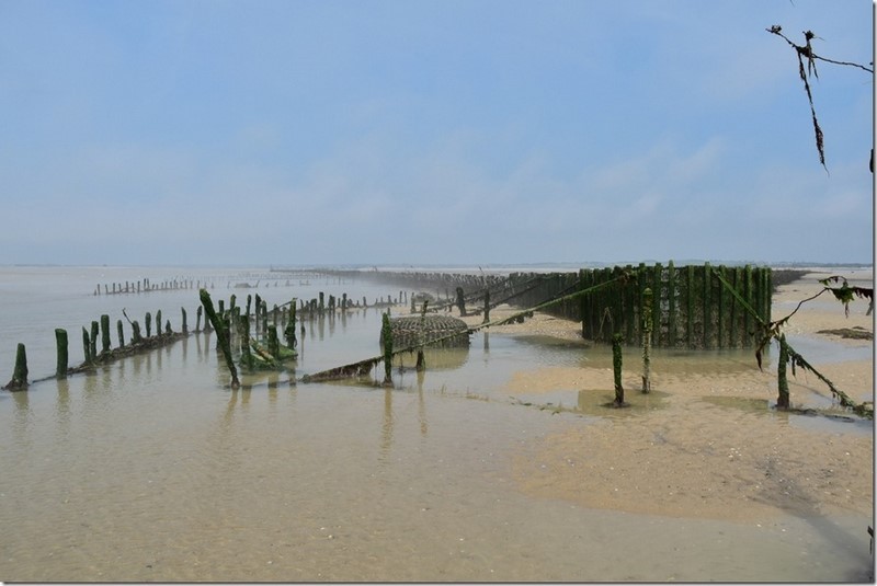 Pêcherie La Maillard, Hauteville-sur-Mer - photo 3