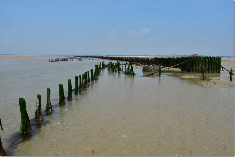 Pêcherie La Maillard, Hauteville-sur-Mer - photo 5
