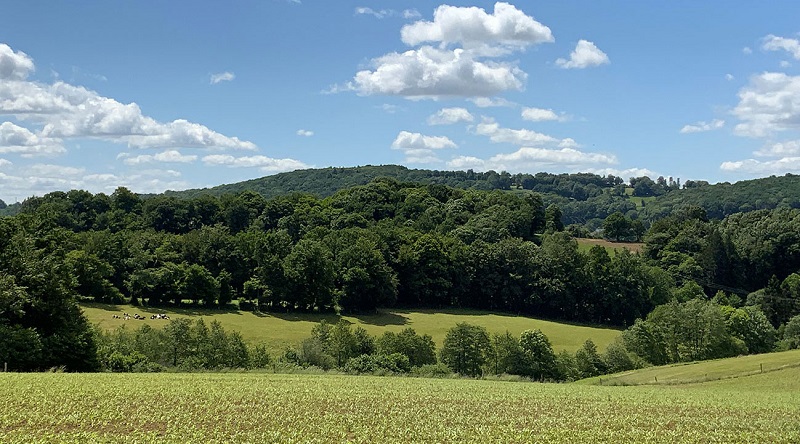 Chambres d'hôtes > Le Prévallon, Beauficel - photo 8