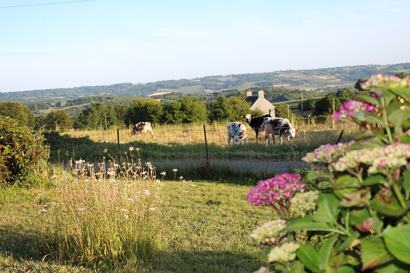 Meublé de tourisme > Le Gîte des Bringés, Perriers-en-Beauficel - photo 6