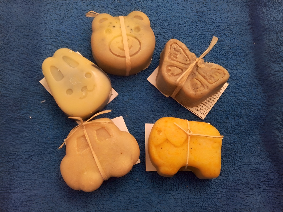 Zest'capade, gîte zéro déchet, May-sur-Orne - photo 13