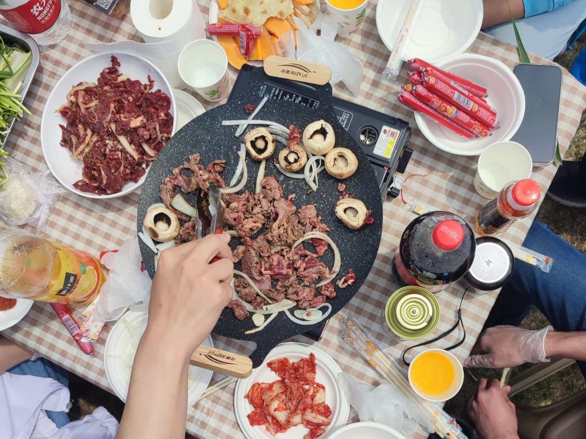 Barbecue et pique-nique party