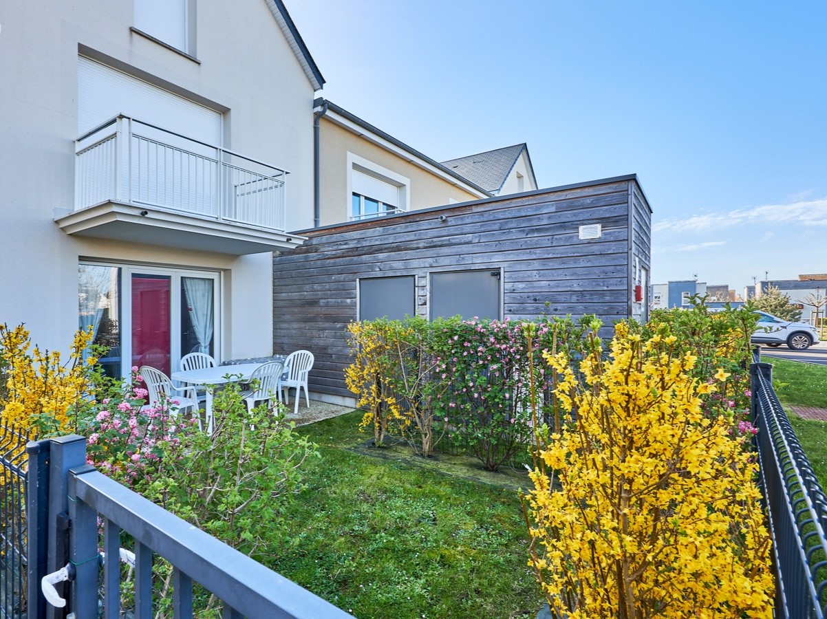 Les Anémones de Langrune