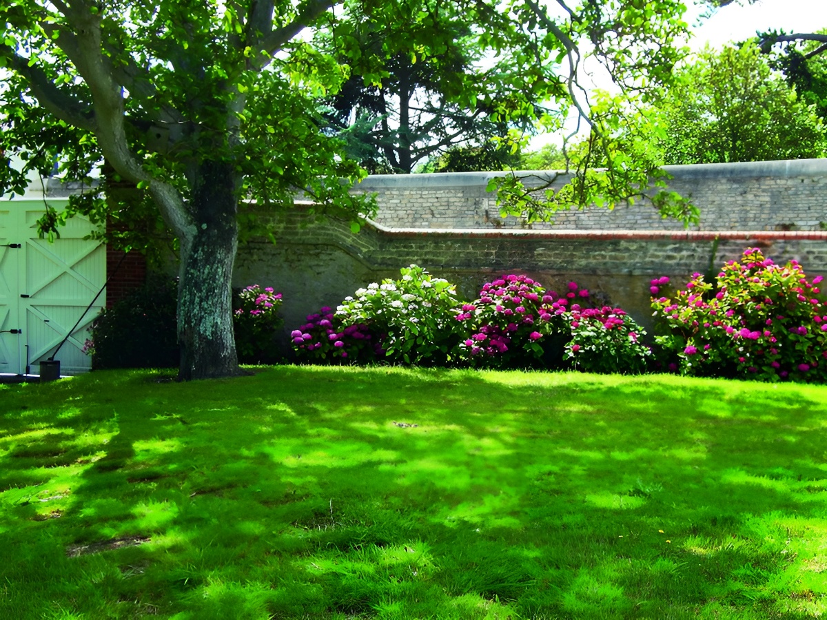 Mme Poilpré, Langrune-sur-Mer - photo 2