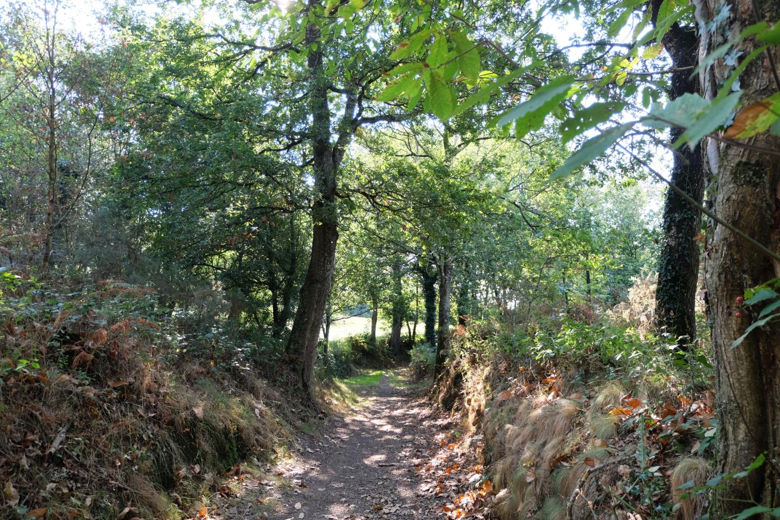 Balade contée  dans la vallée de l&#039;Aure