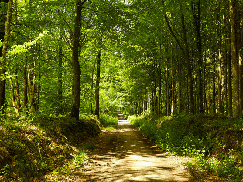 Grand tour de la Lucerne