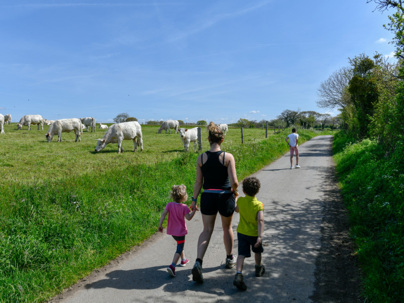 Les hauts de Bouillon, Jullouville - photo 4