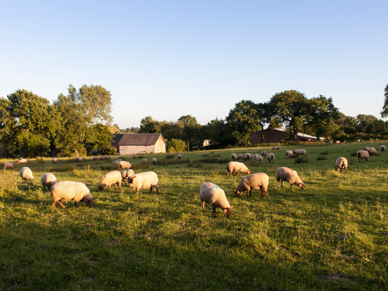 Les vallons de Cérences