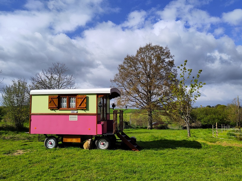 Hébergement insolite > Roulotte Pivoine
