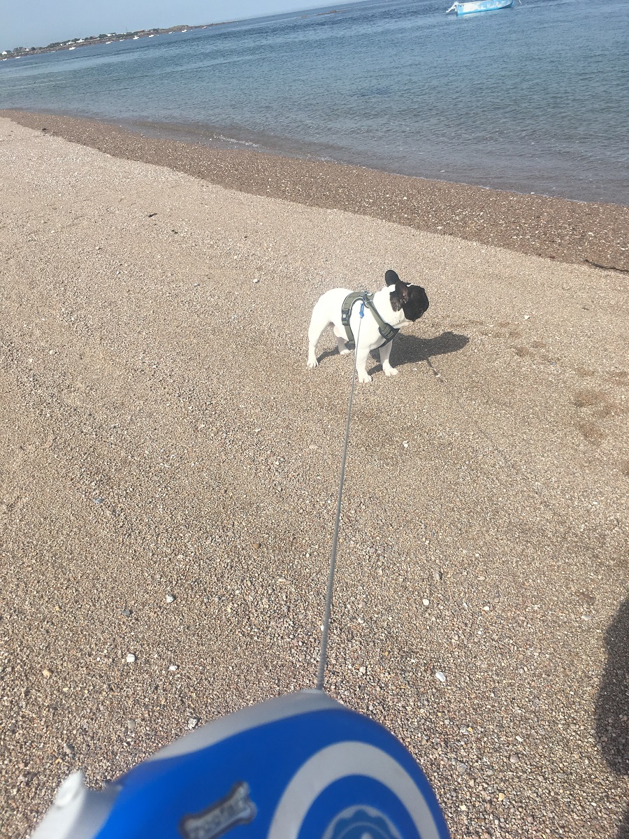 Plage du Vicq, Vicq-sur-Mer - photo 2
