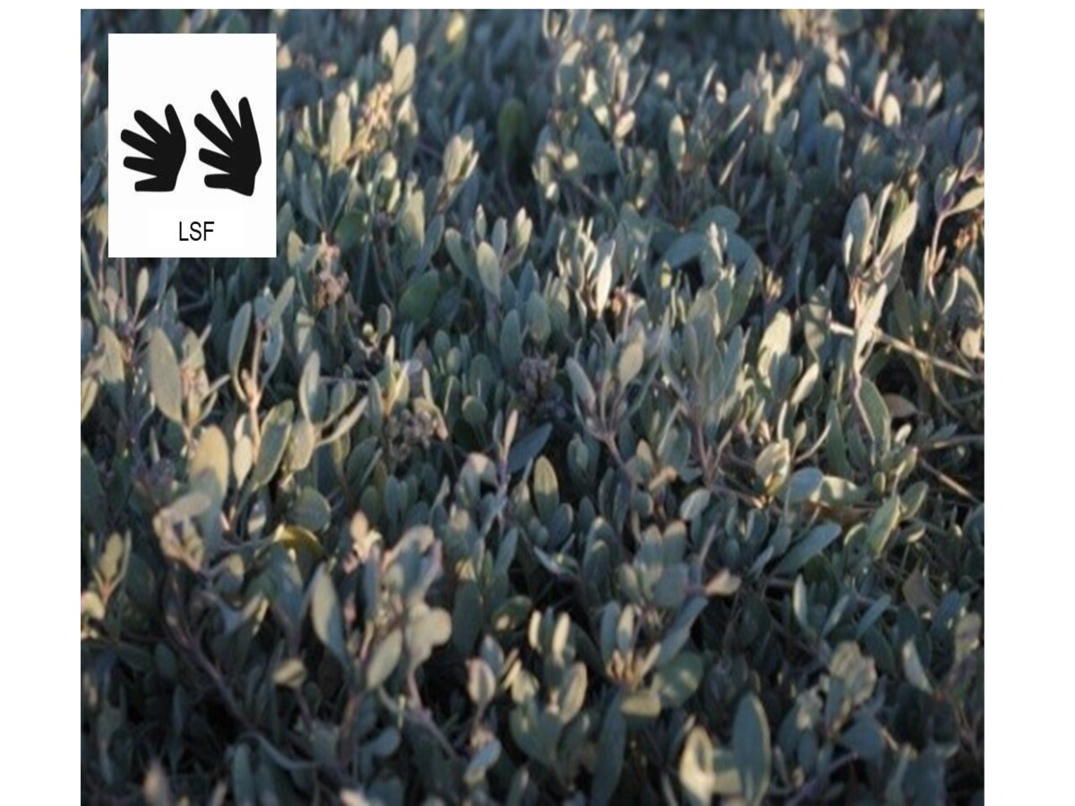 A la découverte des plantes - Sortie traduite en Langue des Signes Françaises